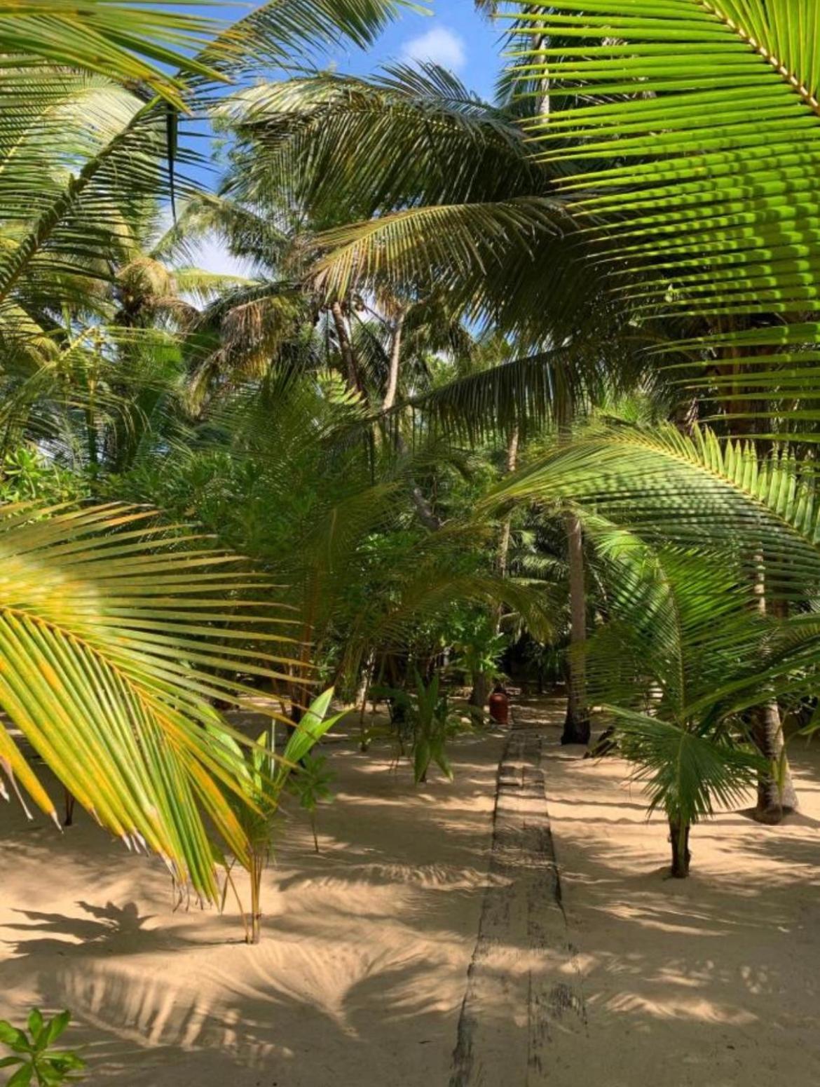 Ganesh Garden Beach Cabanas Тангале Екстериор снимка